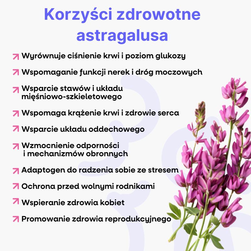 (Polština) - 2025-02-11T092126.517